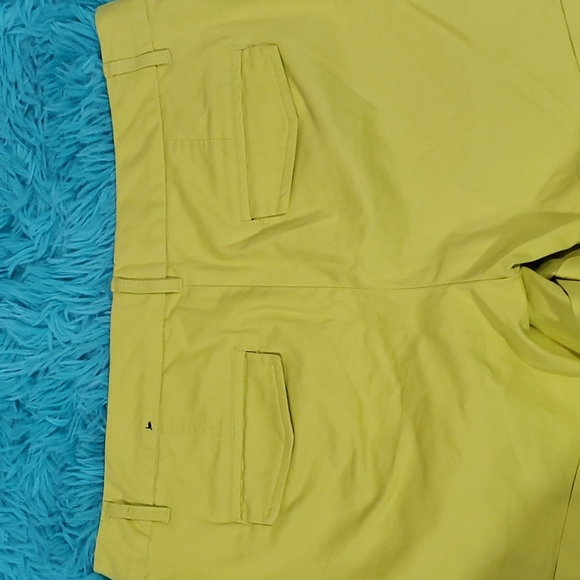Banana Republic Lime Shorts - Picture 3 of 5